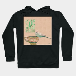 Baby Budgie (parkeet tiny and cute) on teacup animal facts green typography Hoodie